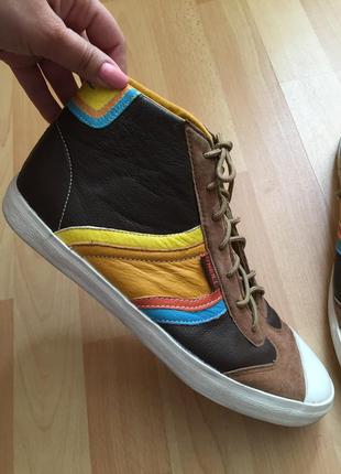 Черевики шкіряні кеди o'neil