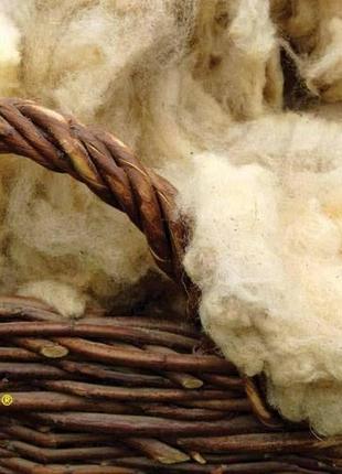 Одеяло стёганное летнее из овечьей шерсти в красивом чехле из бязи iglen 200220 511в  original3 фото
