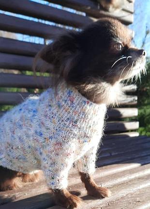 Светр на маленьку собачку