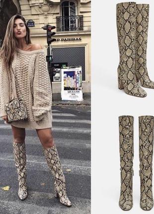 Сапоги трубы zara змеиный принт