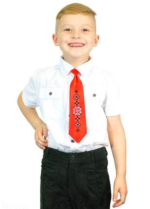 Дитячий галстук з вишивкою радислав