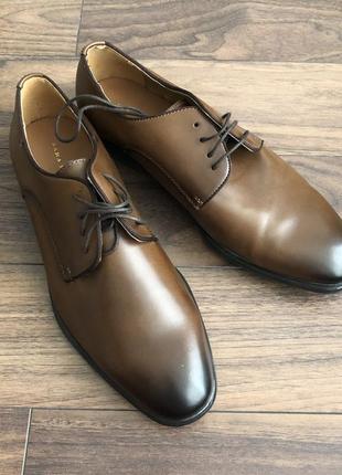 Стильні класичні чоловічі туфлі zara, коричнево кольору