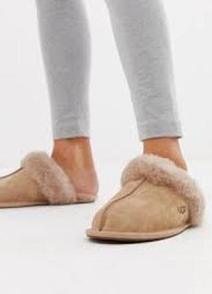 Тапочки жіночі scuffete ll house slipper ugg колір мокко1 фото