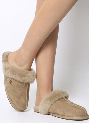 Тапочки жіночі scuffete ll house slipper ugg колір мокко3 фото