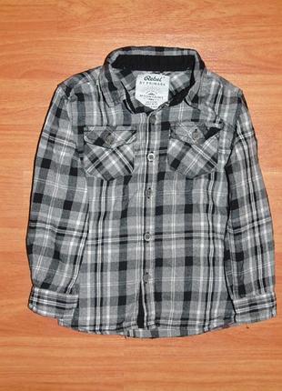 Стильная рубашка ребел,rebel,2-3 года,98