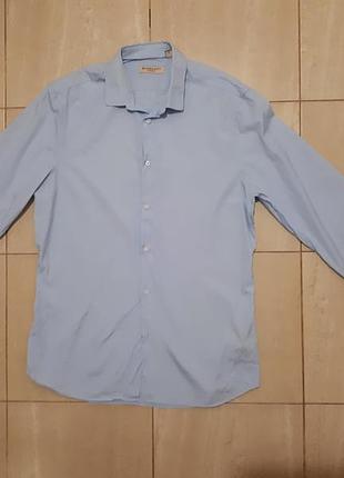 Блакитна сорочка burberry