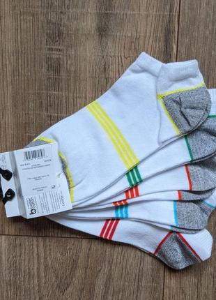 Носки в полоску короткие разноцветные хлопок спортивные3 фото