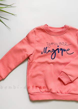 Джемпер детский для девочки с начесом тм бемби дж267 р.98