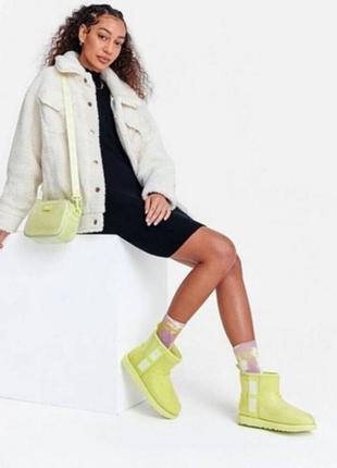 Жіночі чоботи міні ugg класичні прозорі колір ніон салатовий1 фото