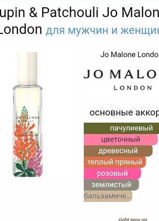🌷 lupin & patchouli jo malone стійкі арабські парфуми 60 мл парфюм парфумована вода тестер2 фото