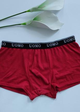 Труси базові боксерки uomo m м 10 38