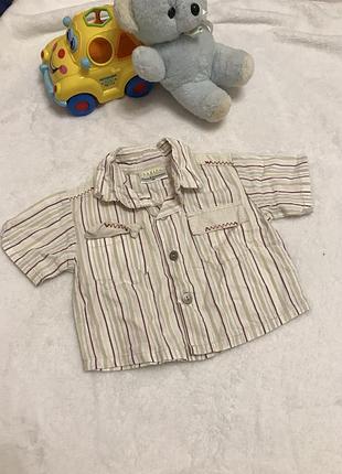 Сорочка babies на 3-6-9 місяців,сорочка бавовна 62 короткий рукав