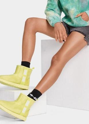 Жіночі чоботи міні ugg класичні прозорі колір ніон салатовий