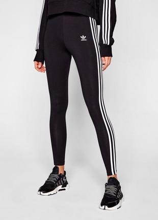 Лосины adidas