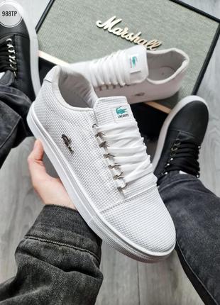 Чоловічі кеди lacoste🔥