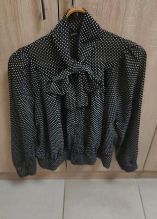 Блуза жіноча стильна тренд