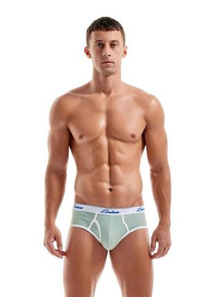Труси-бріфи чоловічі lanvibum сірого кольору в рубчик