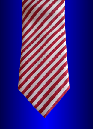 Очень яркий галстук краватка широкий бабочка метелик самовяз бант регат шарф  хустка  мужские шейный платок  полиэстер унисекс ручной работы lkj1 фото