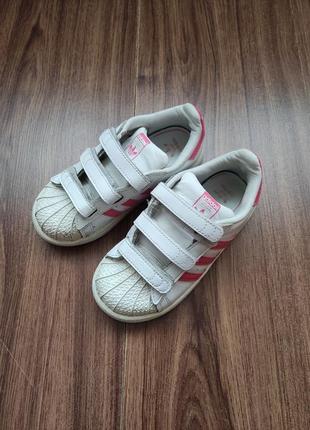 Кросівки adidas  26.5