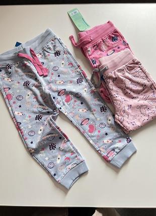 Штани без флісу двунитка штани польща спортивні штани