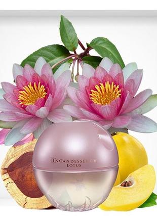 Incandessance lotus 🪷 жіноча туалетна вода 50 мл