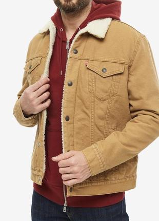 Шерпа levi’s