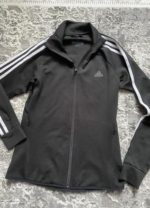 Олімпійка adidas1 фото