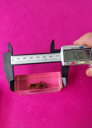 Декоративная статуэтка жук в стекле эпоксидке насекомые ссср7 фото