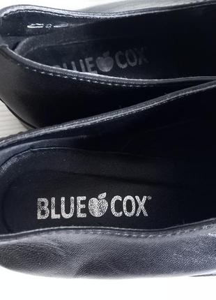 Стильные кожаные туфли blue cox6 фото