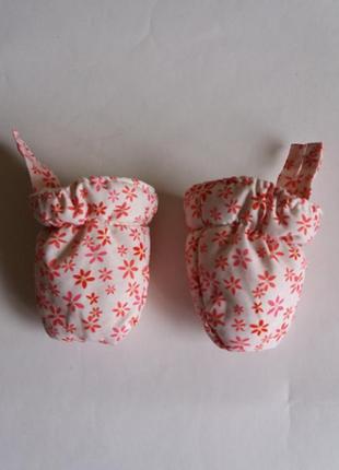 Царапки из болоньи на флисе