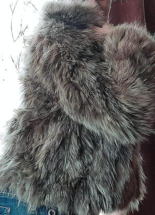 Чернобурка енот шуба полушубок лиса5 фото