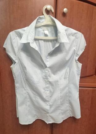Блузи та сорочки жіночі1 фото