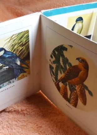 Розкладачка птиці для дошкільного віку 1972-сер ретростиль3 фото