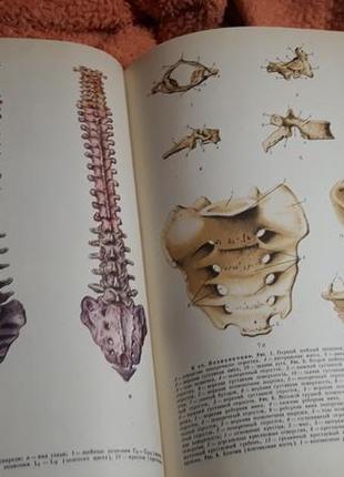 Большая медицинская энциклопедия ссср советская том 20 биология анатом4 фото