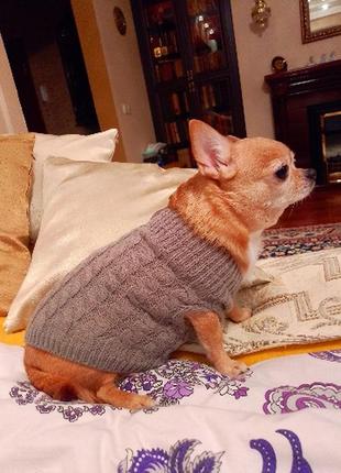 Свитер для собак мелких пород и котов, тёплая одежда для питомца, вязаный свитер для животных,светр для пса та кота,одяг для домашніх тварин9 фото