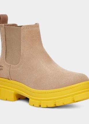 Замшеві челсі ashton chelsea suede | ugg