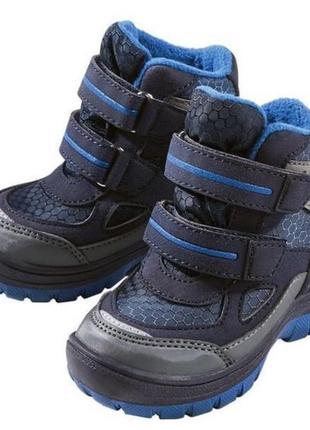 Черевики lupilu