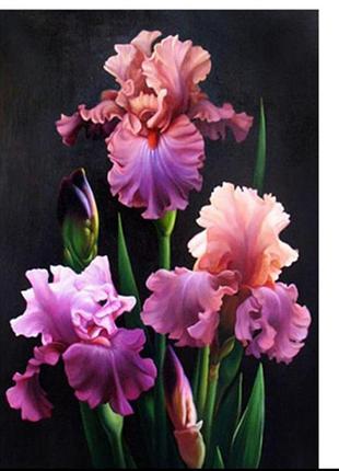 Набір алмазної мозаїки