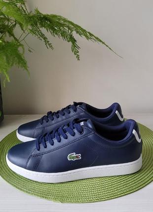 Кроссовки кожаные оригинал lacoste carnaby evo bl 1 sfa размер 37