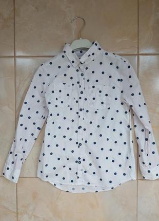 Рубашка у горошок
