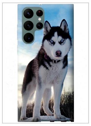 Samsung galaxy s22 3