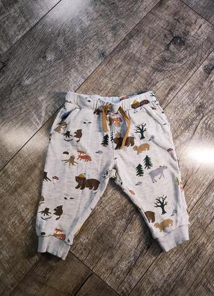 Штаны, h&m, р. 74, 6-9міс., длина 37см