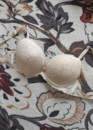 Бюсгартер 44