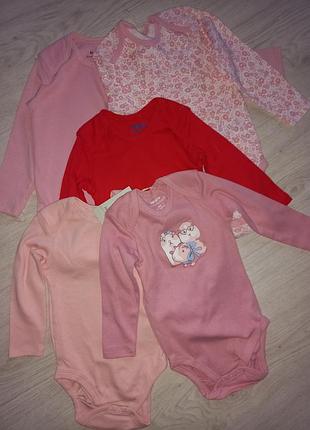 Бодіки боді