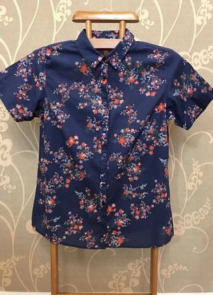 Дуже красива та стильна брендова блузка у кольорах...100% котон 20.