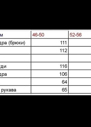 Хлопок велюр ⚫🔵 56 54 52 50 48 46 большие размеры штаны кофта молния р капюшон полоска полоса женская костюм спорт спортивный бархат бавовна набор8 фото