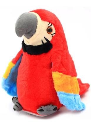Балакучий папуга повторювача червоний parrot talking
