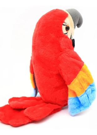 Говорящий попугай повторюшка красный parrot talking4 фото