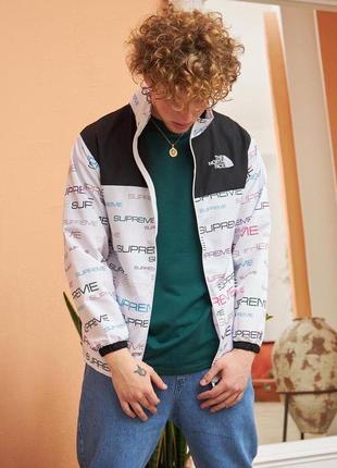Мужская ветровка the north face