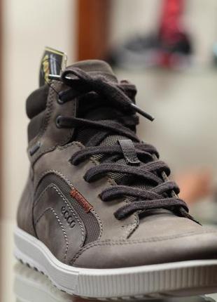 Ecco ennio purple sale